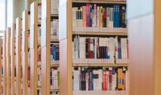 商的拼音 商的拼音是啥