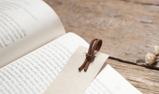 杏的拼音 杏的拼音是什么