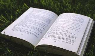 品茗意思 品茗解释