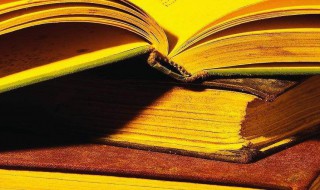 恍然的拼音 恍然的拼音及解释