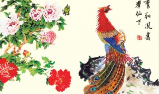 凤的拼音是 凤的拼音是什么