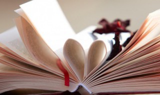 一龙一猪意思 一龙一猪的含义