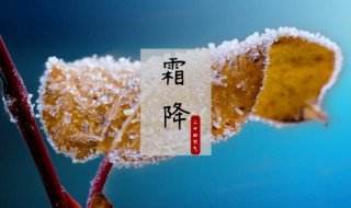 24节气霜降的含义是什么 24节气霜降的含义介绍