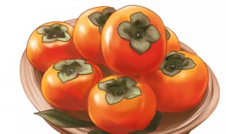 霜降为什么吃柿子以及作用是什么 霜降吃柿子的原因