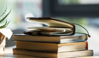 堤拼音 堤的组词