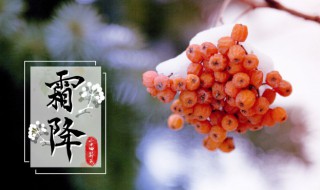 2021年霜降是几月几号 关于霜降节气的介绍