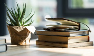 瑚组词 瑚组词及解释