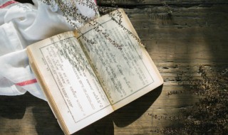 描写长安的诗句 描写长安的诗有哪些