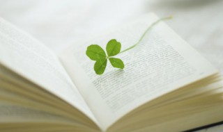 尚的拼音 尚的拼音及组词