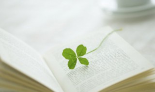 湍的拼音 湍如何念