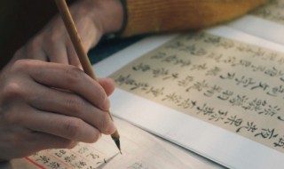 雏形雏形的意思雏形的意思 雏形的解释