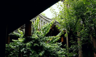 范成大喜晴诗及意思 喜晴古诗原文