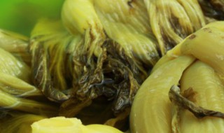 怎么炒冲菜 炒冲菜的做法