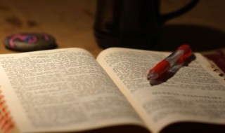 舞蹈的拼音 舞蹈的拼音及解释