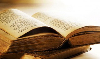 荫蔽的拼音 荫蔽的拼音及解释