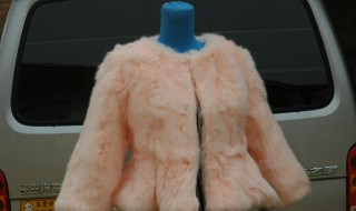 獭兔毛皮草在家怎么洗 怎么洗獭兔毛皮草