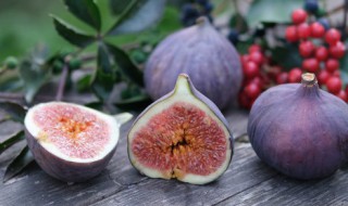 新鲜无花果的储存方法 怎样储存新鲜无花果