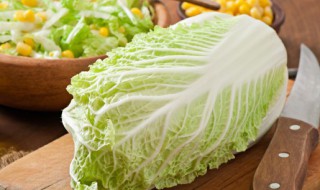 白菜白醋储存方法 怎样用白醋储存白菜