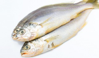 储存鱼类的方法 怎样储存鱼类