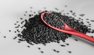 芝麻种子储存方法 怎样保存芝麻种子