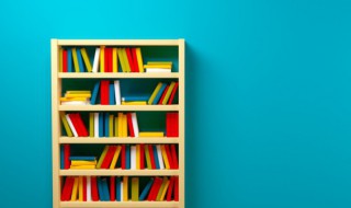 空无一物是什么意思 空无一物的解释