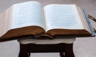 窜拼音 窜拼音是什么