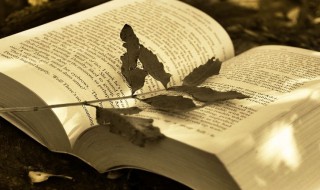 已经拼音 已经拼音及解释