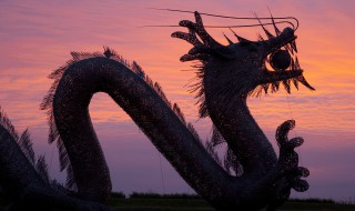 天下谁人不识君是什么生肖 天下谁人不识君生肖是什么