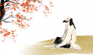 墙角数枝梅中的数是什么意思 墙角数枝梅全诗及译文