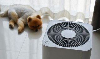 负离子净化器的危害是什么 负离子净化器有什么危害
