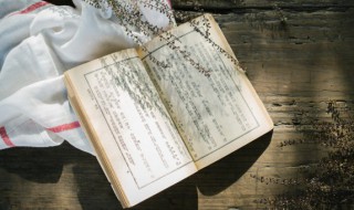 诗句的意思 诗句的相关知识