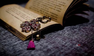 其臭如兰的臭是什么意思 其臭如兰的臭怎么解释