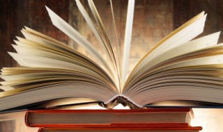 雾里探花是什么意思 雾里探花的解释