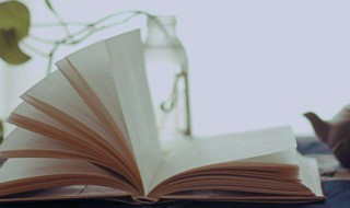 盛况空前中盛的意思 盛况空前的解释