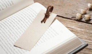 宿儒中宿的意思 宿儒中宿解释