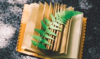 水到渠成这个成语的意思 水到渠成的成语故事