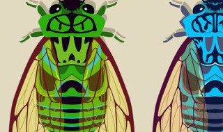 知了猴怎么炸才好吃 知了猴怎么炸