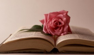 目不什么接的成语 目不暇接的解释