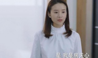 房天心是什么电视剧 你看过吗