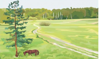 乡村风景的读后感怎么写 乡村美景的读后感