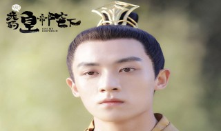 洛肥肥是什么电视剧 电视剧讲述了什么故事