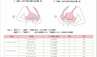 怎样正确测量胸部大小 下文教你