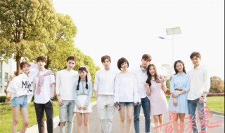 盛楠是什么电视剧 了解一下电视剧的剧情介绍