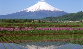 去日本不懂日语怎么办 可通过以下五种方法来解决