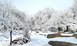 春天下雪什么兆头 你知道答案了吗