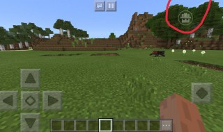 多玩我的世界盒子怎么开悬浮窗 多玩我的世界盒子开悬浮窗的5个步骤