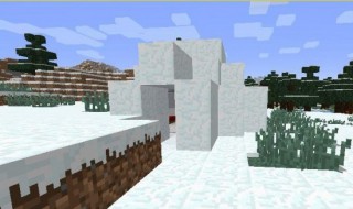 我的世界雪屋传送指令 我的世界雪屋怎么找
