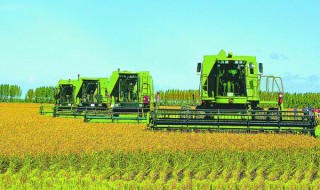 农业产业科技的特征 农业产业科技的特征详述