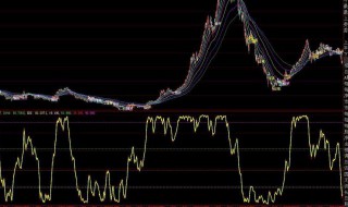 指数基金pe值在哪里看 指数基金pe值查看指引