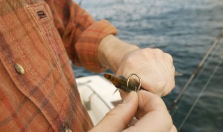 鱼钩离铅坠多远 钩距受哪些因素影响